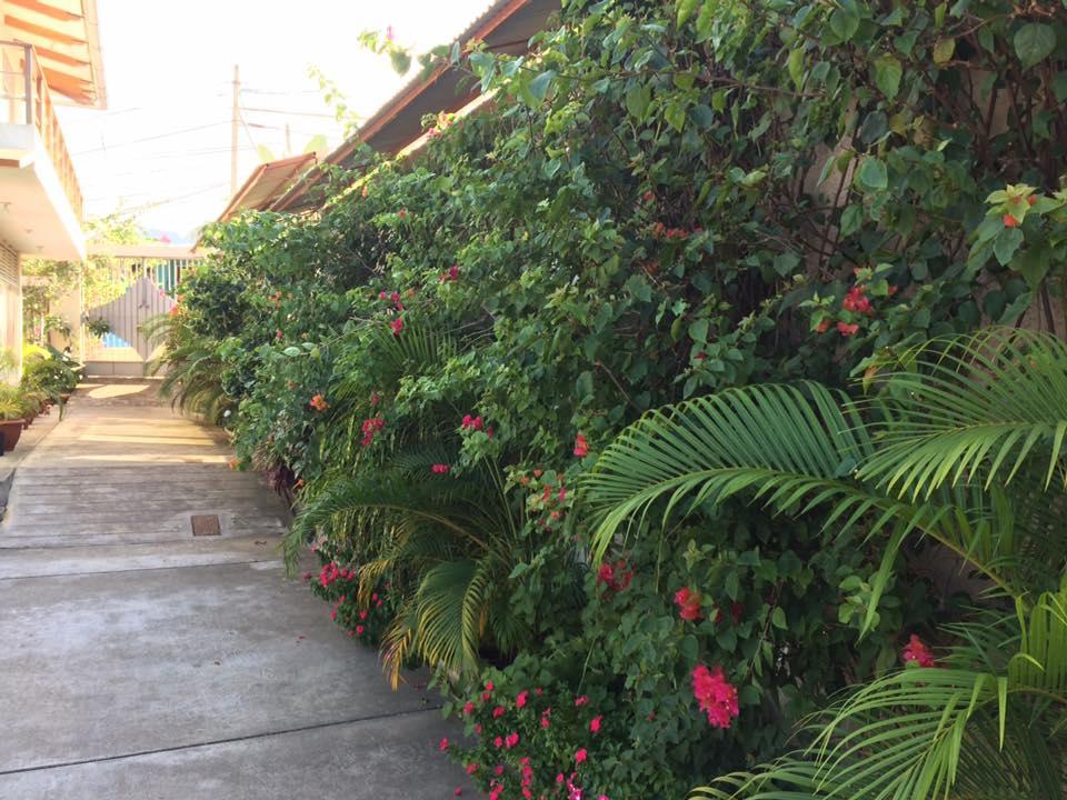Bed and Breakfast La Casa Del Italiano Tarapoto Zewnętrze zdjęcie